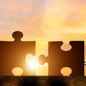 65625096_m_normal_none 65625096_m_normal_none